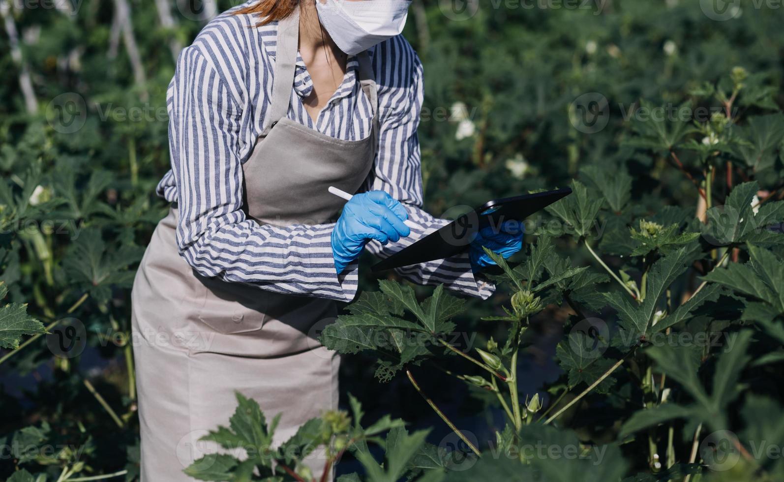 Futuristic businessman farms vegetables and crops using modern AI technology using mobile phones, temperature and humidity sensors, water tracking, climate control, holographic data data icons. photo