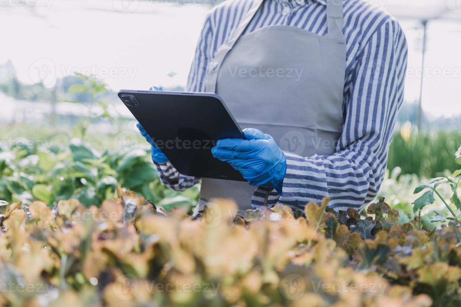 Futuristic businessman farms vegetables and crops using modern AI technology using mobile phones, temperature and humidity sensors, water tracking, climate control, holographic data data icons. photo