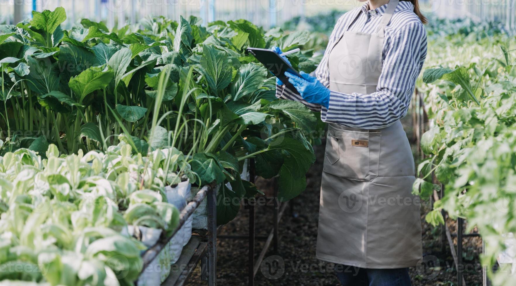 Futuristic businessman farms vegetables and crops using modern AI technology using mobile phones, temperature and humidity sensors, water tracking, climate control, holographic data data icons. photo