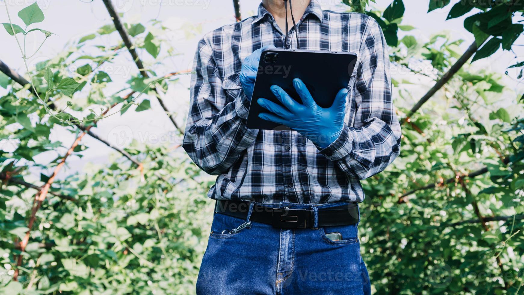 Futuristic businessman farms vegetables and crops using modern AI technology using mobile phones, temperature and humidity sensors, water tracking, climate control, holographic data data icons. photo
