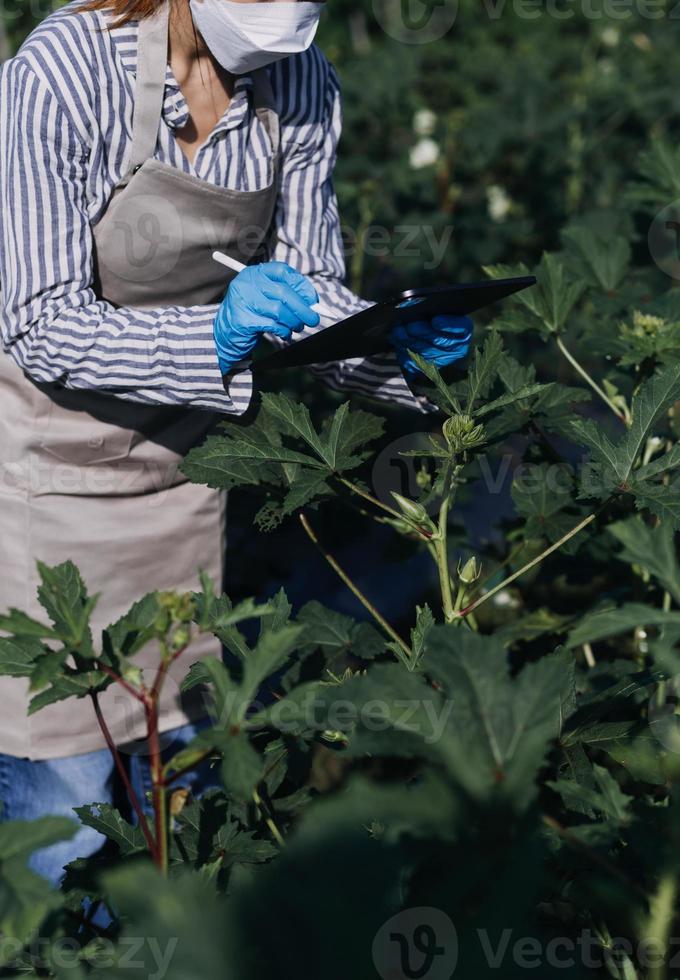 Futuristic businessman farms vegetables and crops using modern AI technology using mobile phones, temperature and humidity sensors, water tracking, climate control, holographic data data icons. photo
