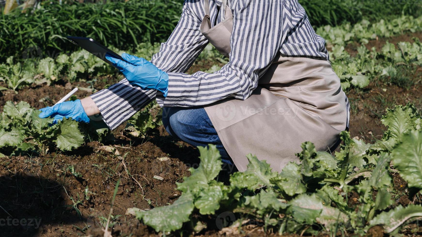 Futuristic businessman farms vegetables and crops using modern AI technology using mobile phones, temperature and humidity sensors, water tracking, climate control, holographic data data icons. photo