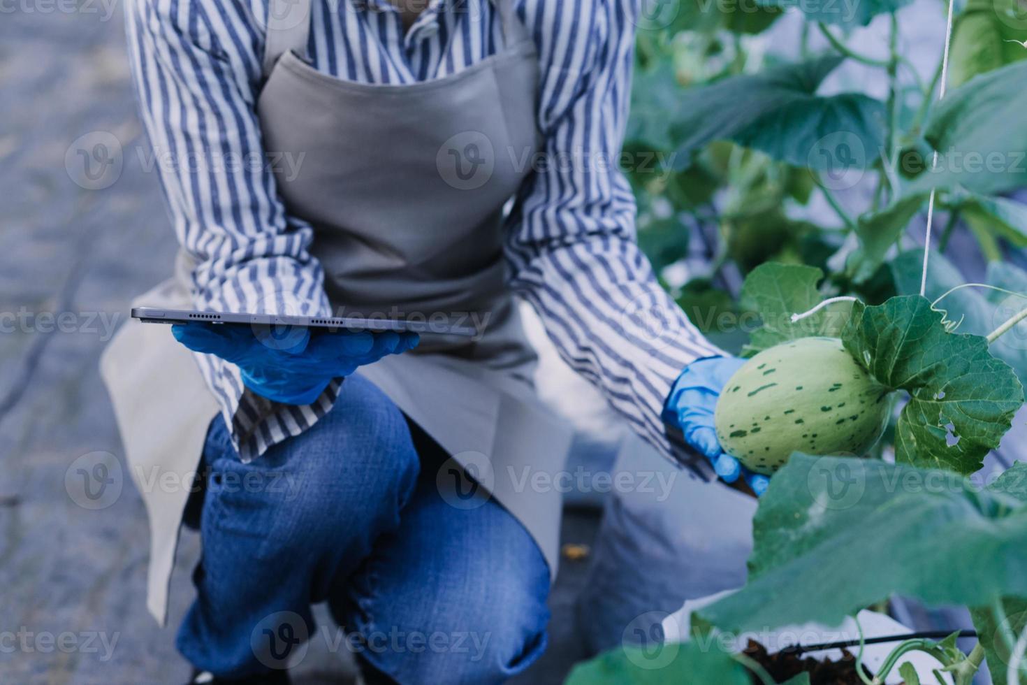 Futuristic businessman farms vegetables and crops using modern AI technology using mobile phones, temperature and humidity sensors, water tracking, climate control, holographic data data icons. photo