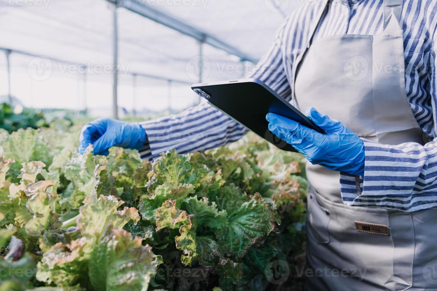 Futuristic businessman farms vegetables and crops using modern AI technology using mobile phones, temperature and humidity sensors, water tracking, climate control, holographic data data icons. photo