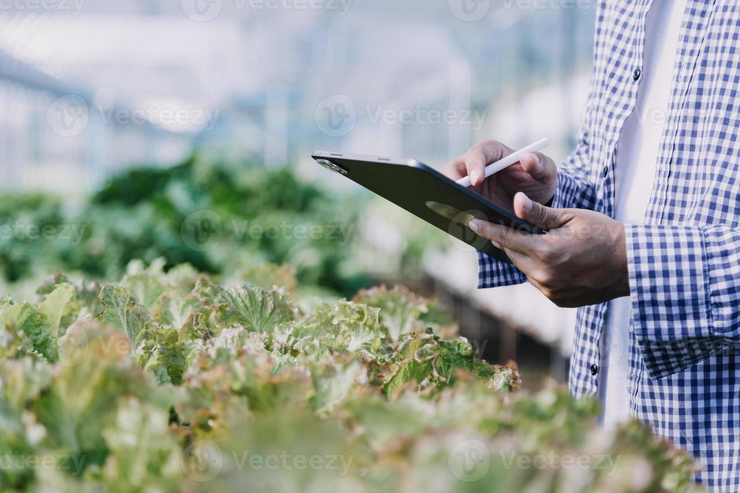 Futuristic businessman farms vegetables and crops using modern AI technology using mobile phones, temperature and humidity sensors, water tracking, climate control, holographic data data icons. photo