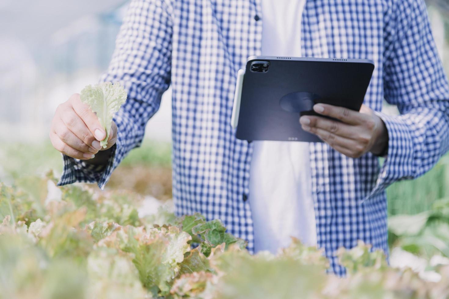 Futuristic businessman farms vegetables and crops using modern AI technology using mobile phones, temperature and humidity sensors, water tracking, climate control, holographic data data icons. photo