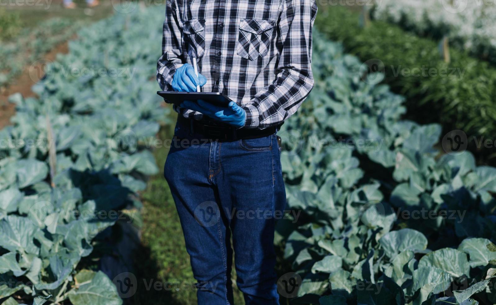 Futuristic businessman farms vegetables and crops using modern AI technology using mobile phones, temperature and humidity sensors, water tracking, climate control, holographic data data icons. photo