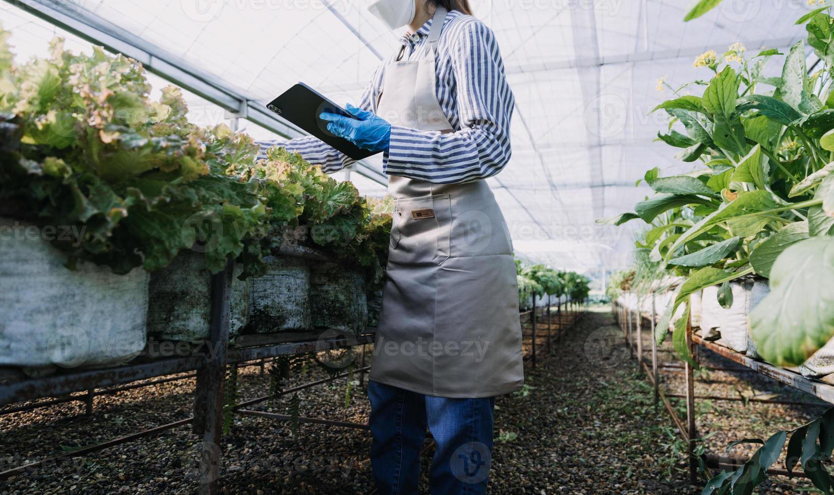 Futuristic businessman farms vegetables and crops using modern AI technology using mobile phones, temperature and humidity sensors, water tracking, climate control, holographic data data icons. photo