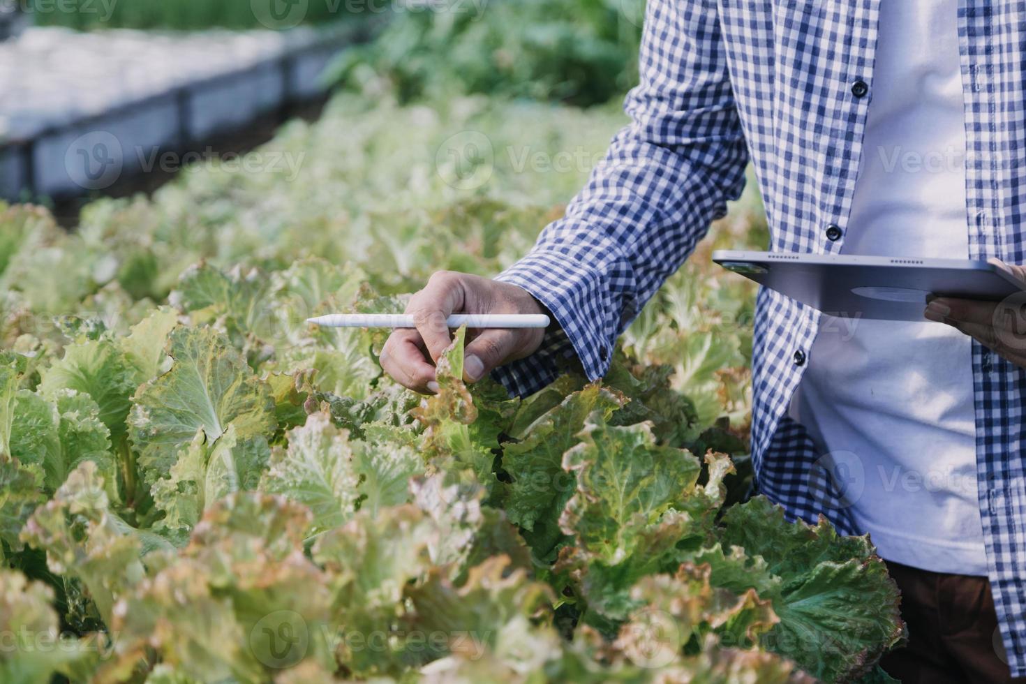 Futuristic businessman farms vegetables and crops using modern AI technology using mobile phones, temperature and humidity sensors, water tracking, climate control, holographic data data icons. photo