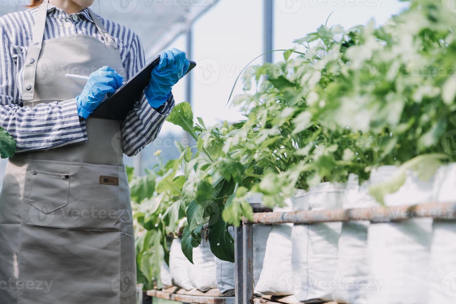 Futuristic businessman farms vegetables and crops using modern AI technology using mobile phones, temperature and humidity sensors, water tracking, climate control, holographic data data icons. photo