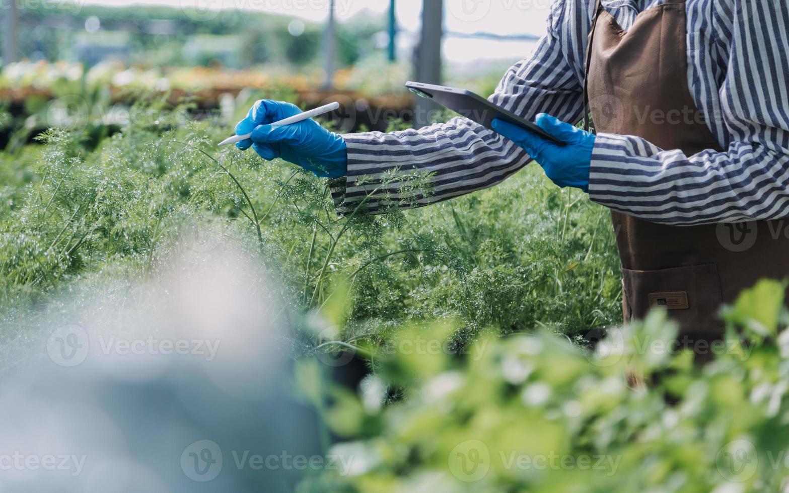 Futuristic businessman farms vegetables and crops using modern AI technology using mobile phones, temperature and humidity sensors, water tracking, climate control, holographic data data icons. photo