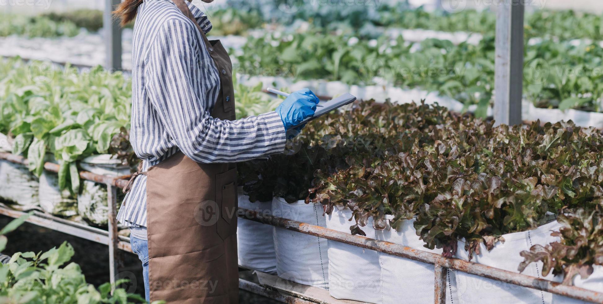 Futuristic businessman farms vegetables and crops using modern AI technology using mobile phones, temperature and humidity sensors, water tracking, climate control, holographic data data icons. photo