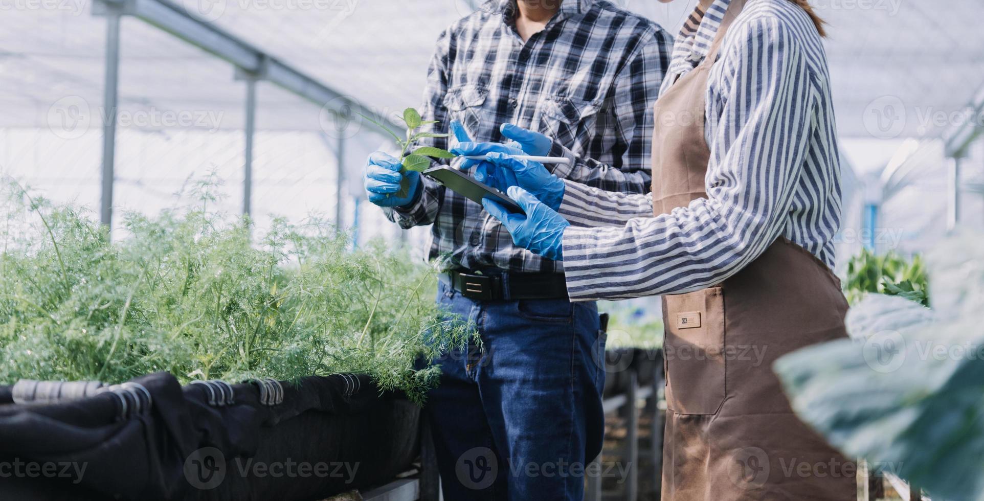 Futuristic businessman farms vegetables and crops using modern AI technology using mobile phones, temperature and humidity sensors, water tracking, climate control, holographic data data icons. photo