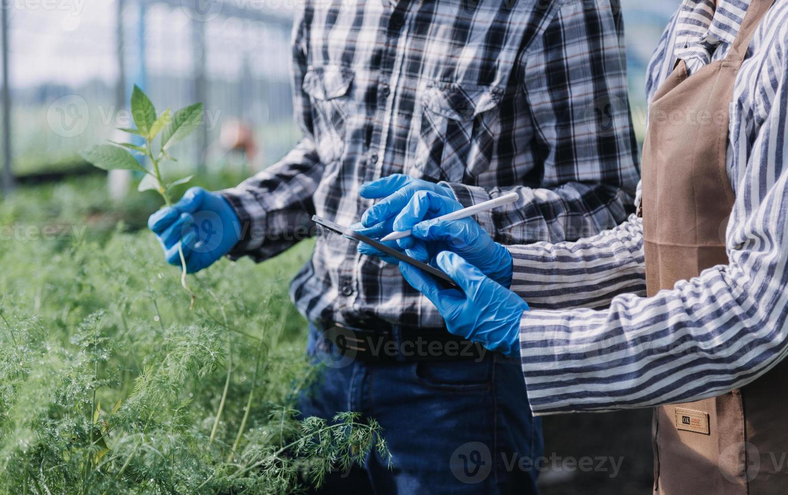 Futuristic businessman farms vegetables and crops using modern AI technology using mobile phones, temperature and humidity sensors, water tracking, climate control, holographic data data icons. photo