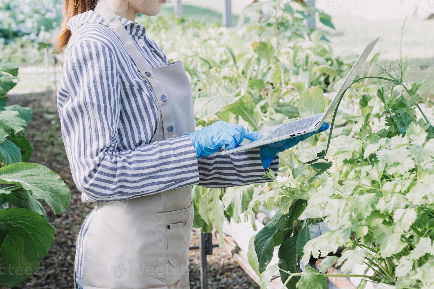 Futuristic businessman farms vegetables and crops using modern AI technology using mobile phones, temperature and humidity sensors, water tracking, climate control, holographic data data icons. photo
