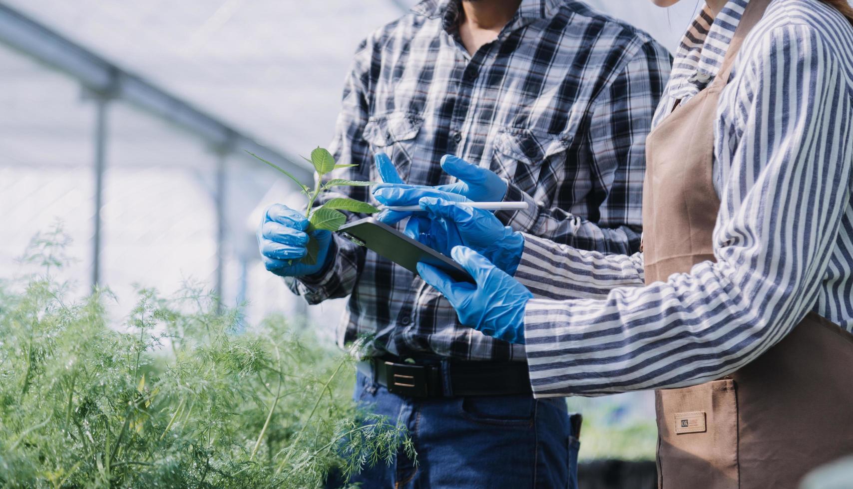 Futuristic businessman farms vegetables and crops using modern AI technology using mobile phones, temperature and humidity sensors, water tracking, climate control, holographic data data icons. photo
