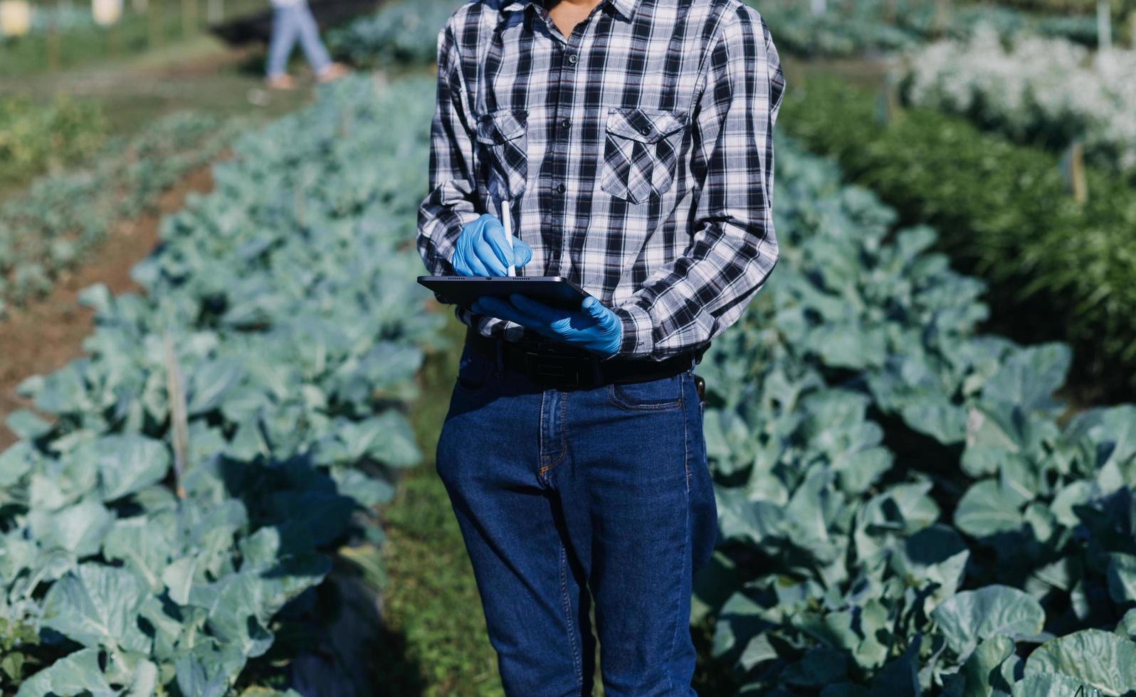 farm-management-stock-photos-images-and-backgrounds-for-free-download