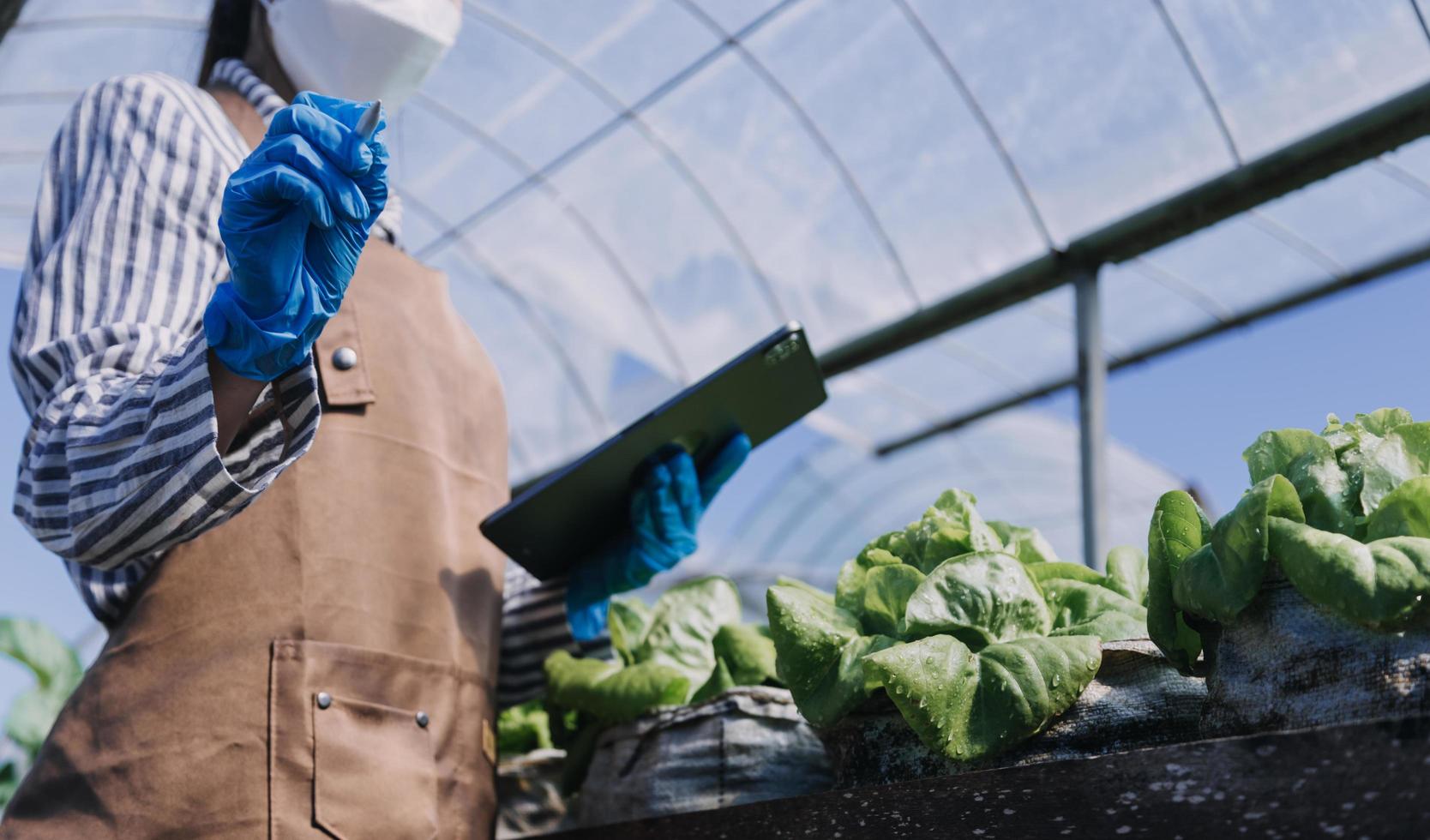 Futuristic businessman farms vegetables and crops using modern AI technology using mobile phones, temperature and humidity sensors, water tracking, climate control, holographic data data icons. photo