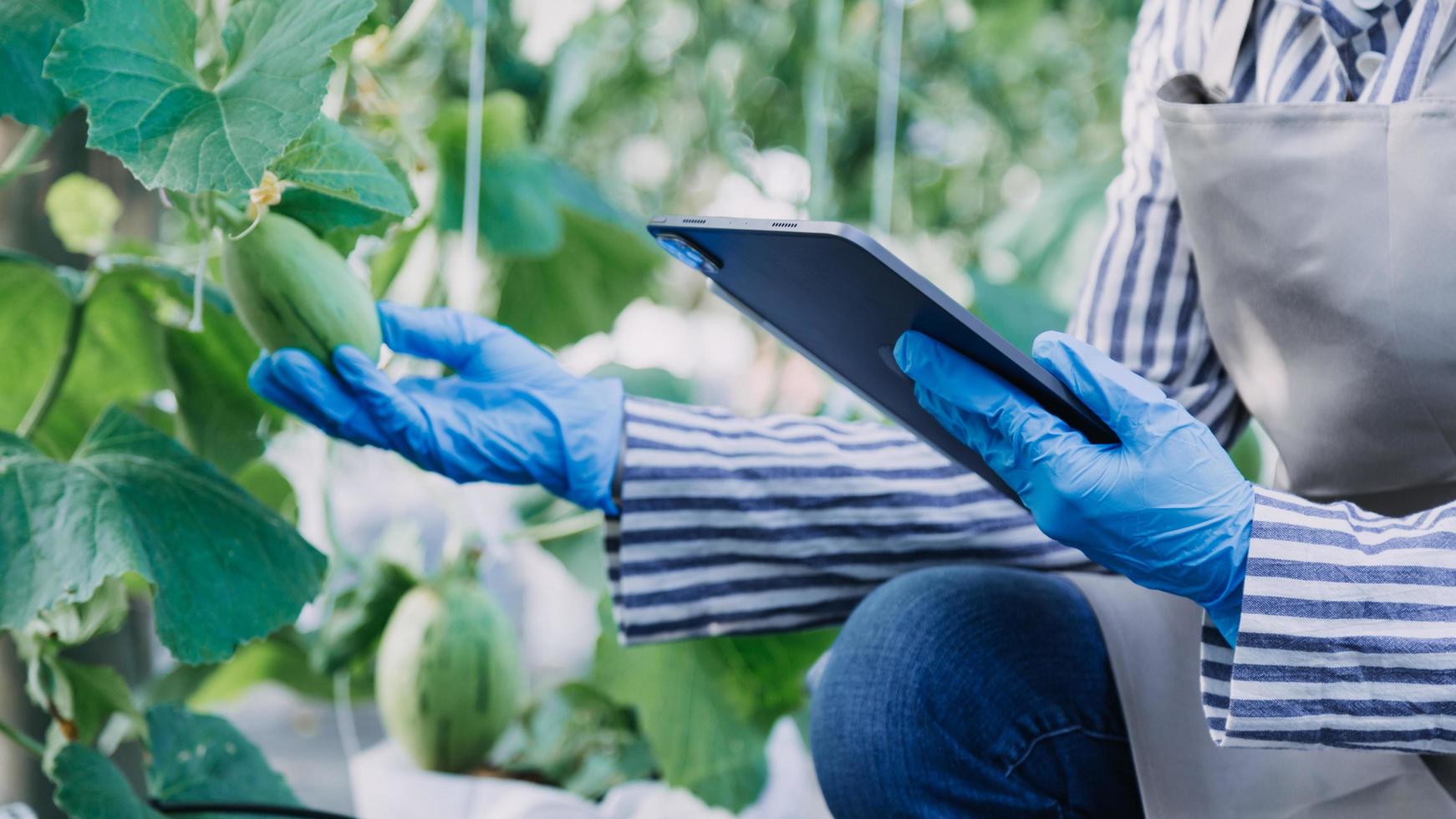Futuristic businessman farms vegetables and crops using modern AI technology using mobile phones, temperature and humidity sensors, water tracking, climate control, holographic data data icons. photo
