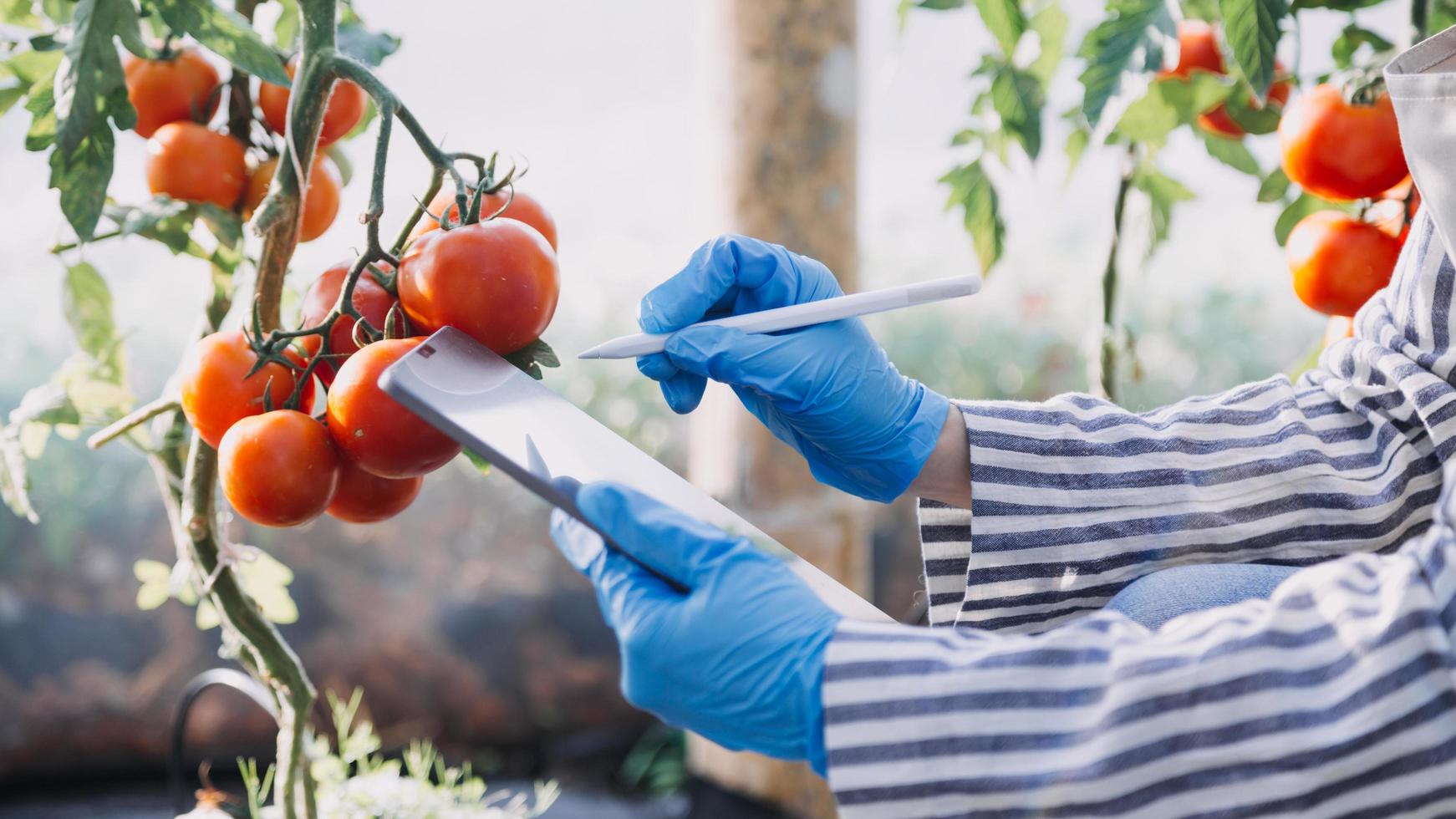 Futuristic businessman farms vegetables and crops using modern AI technology using mobile phones, temperature and humidity sensors, water tracking, climate control, holographic data data icons. photo