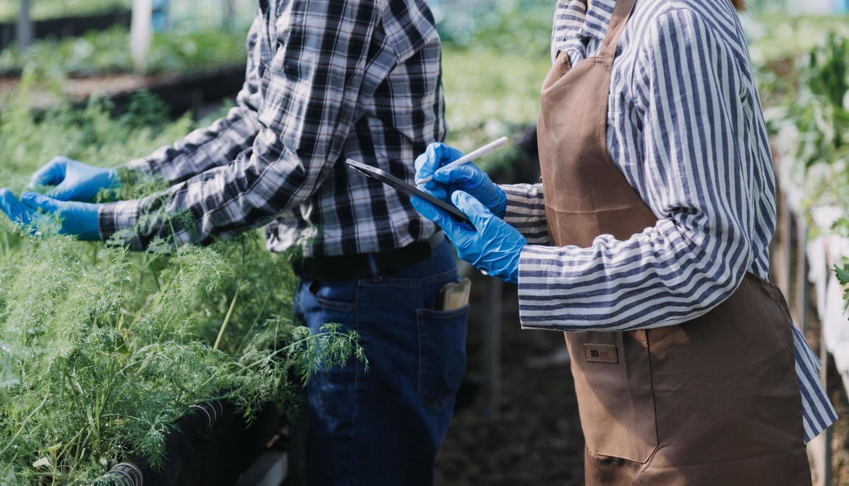 Futuristic businessman farms vegetables and crops using modern AI technology using mobile phones, temperature and humidity sensors, water tracking, climate control, holographic data data icons. photo