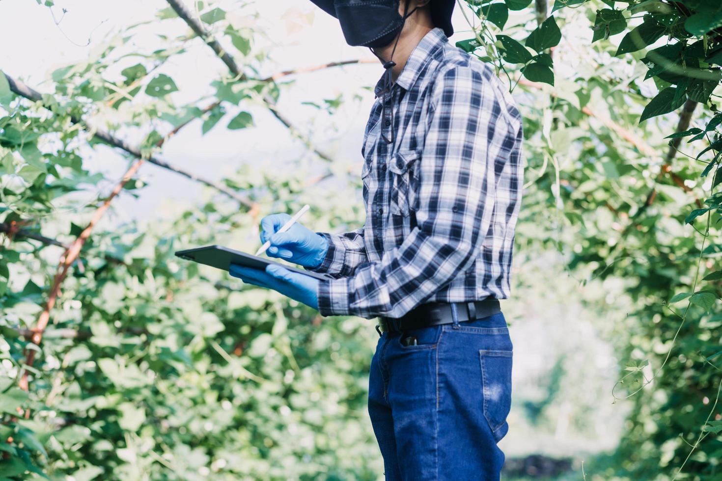 Futuristic businessman farms vegetables and crops using modern AI technology using mobile phones, temperature and humidity sensors, water tracking, climate control, holographic data data icons. photo