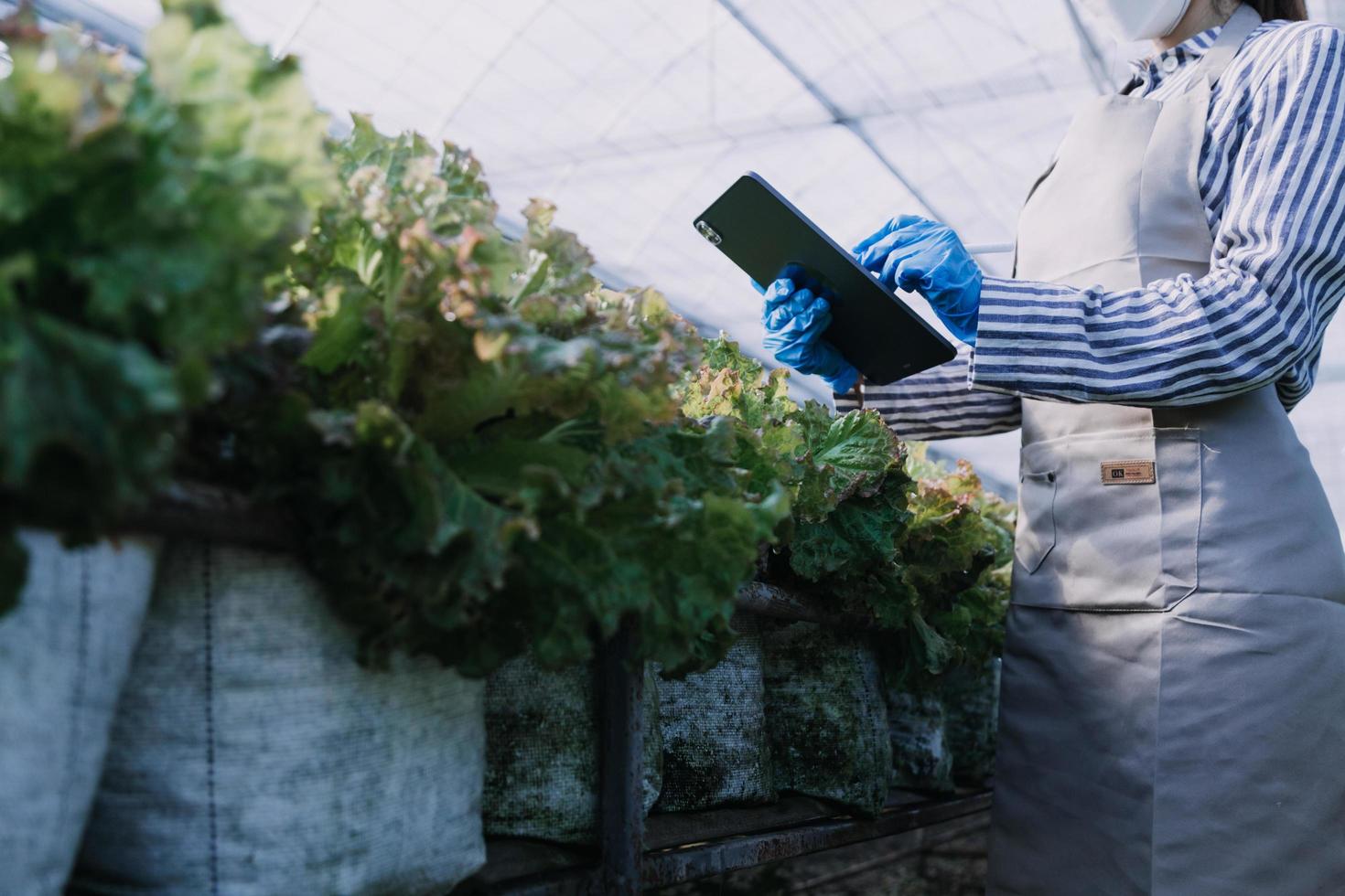 Futuristic businessman farms vegetables and crops using modern AI technology using mobile phones, temperature and humidity sensors, water tracking, climate control, holographic data data icons. photo