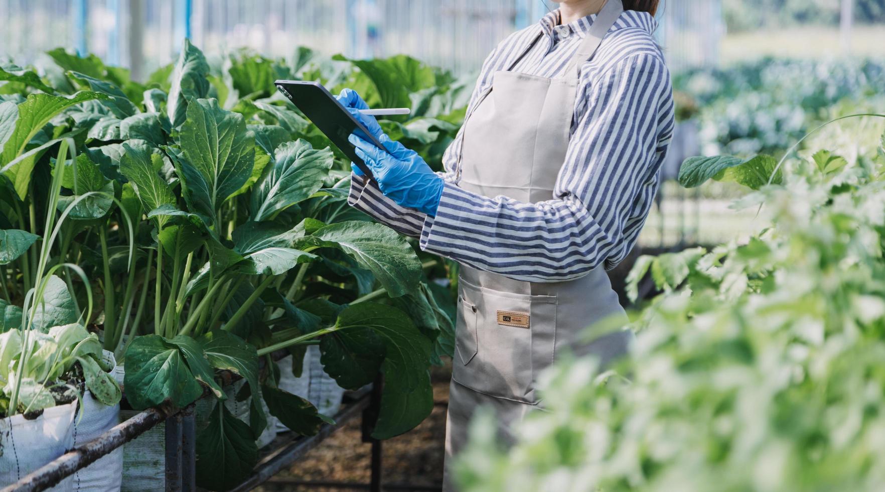 Futuristic businessman farms vegetables and crops using modern AI technology using mobile phones, temperature and humidity sensors, water tracking, climate control, holographic data data icons. photo