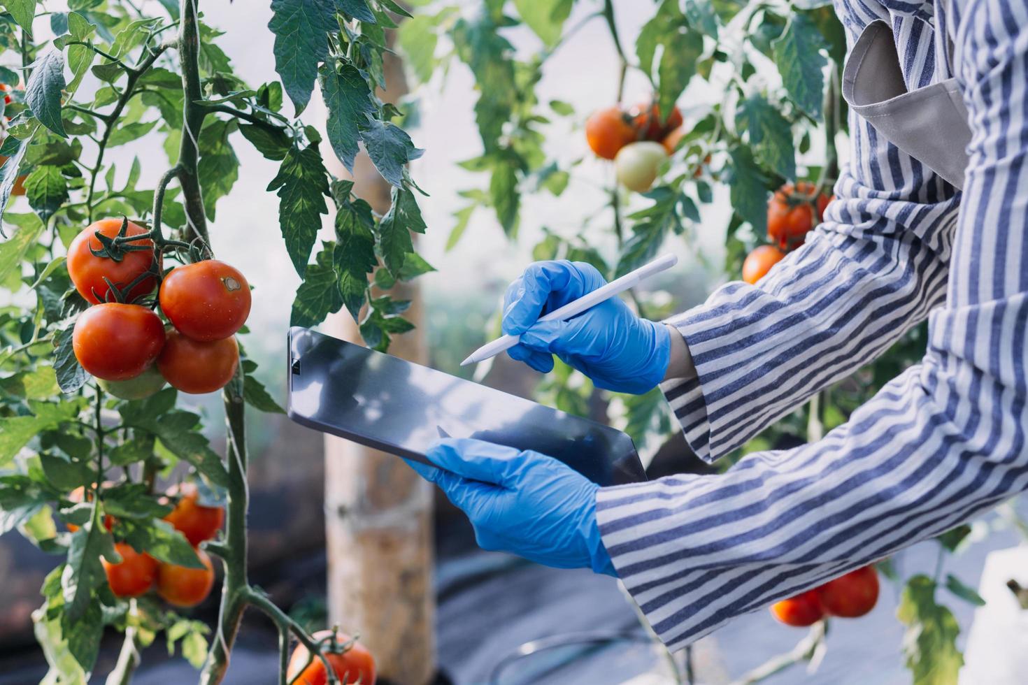 Futuristic businessman farms vegetables and crops using modern AI technology using mobile phones, temperature and humidity sensors, water tracking, climate control, holographic data data icons. photo