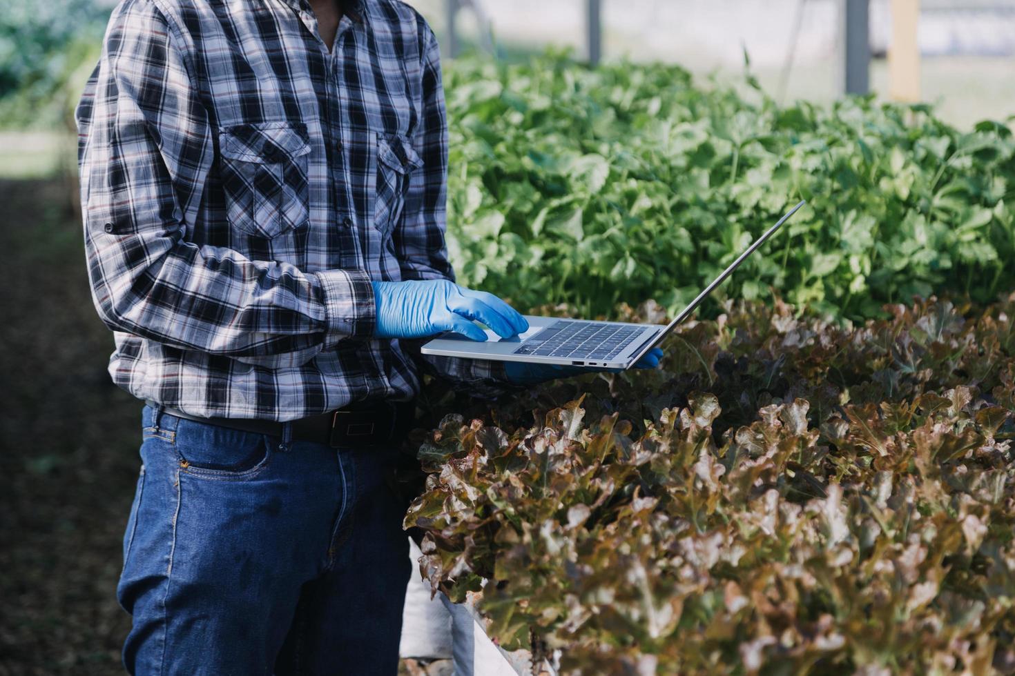 Futuristic businessman farms vegetables and crops using modern AI technology using mobile phones, temperature and humidity sensors, water tracking, climate control, holographic data data icons. photo