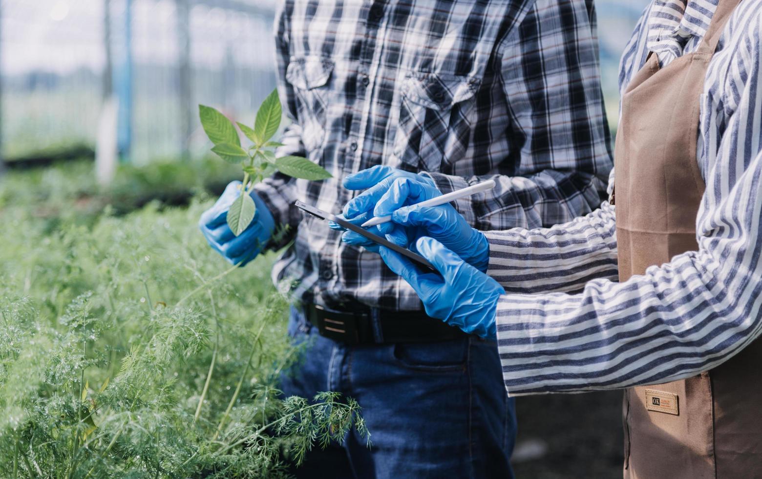 Futuristic businessman farms vegetables and crops using modern AI technology using mobile phones, temperature and humidity sensors, water tracking, climate control, holographic data data icons. photo