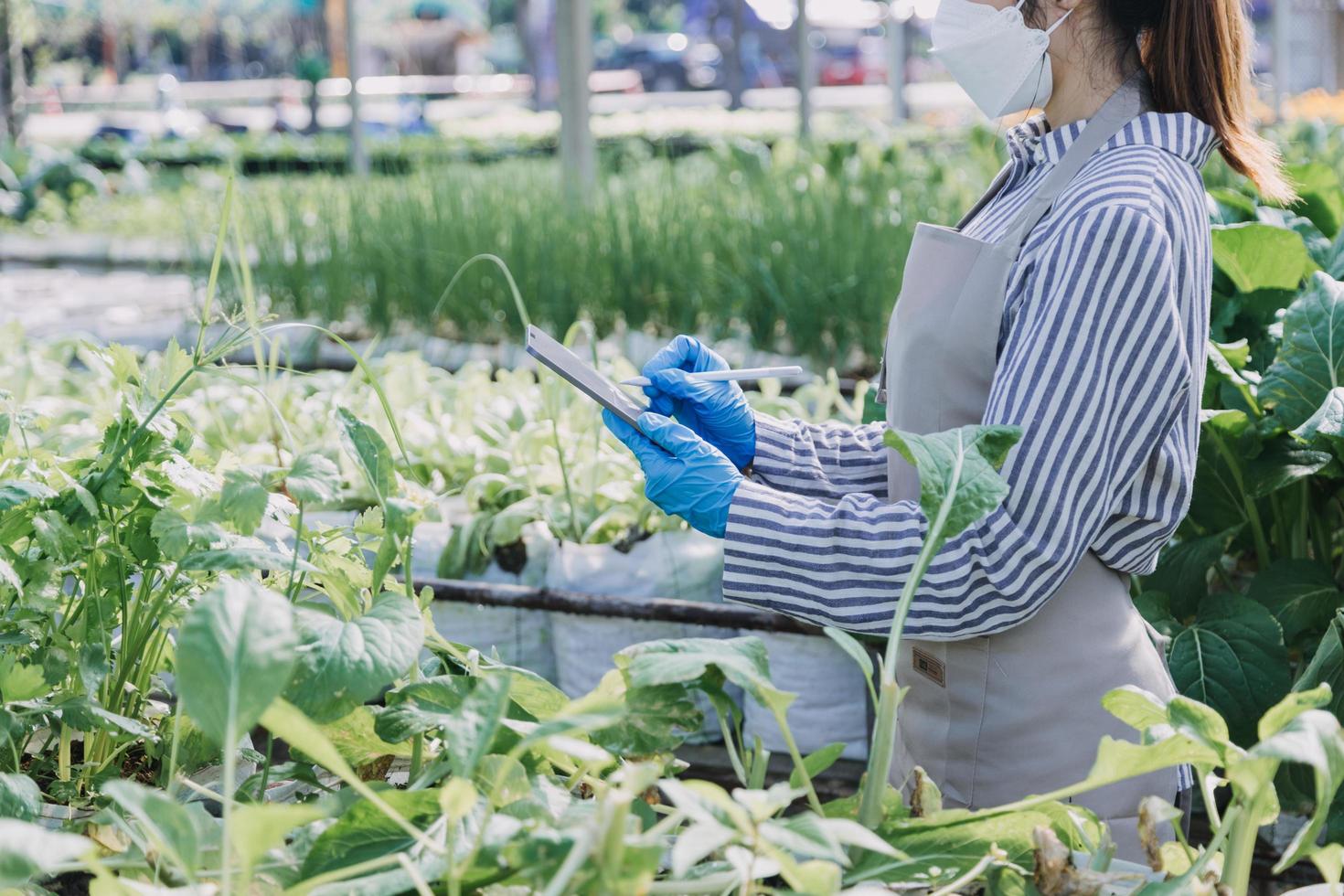Futuristic businessman farms vegetables and crops using modern AI technology using mobile phones, temperature and humidity sensors, water tracking, climate control, holographic data data icons. photo