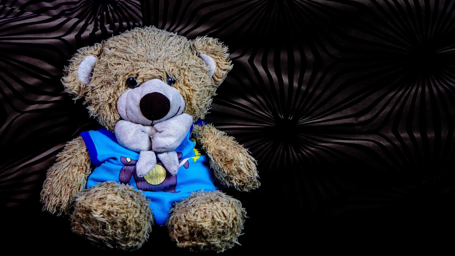 teddy bear in a blue t-shirt on a black sofa photo