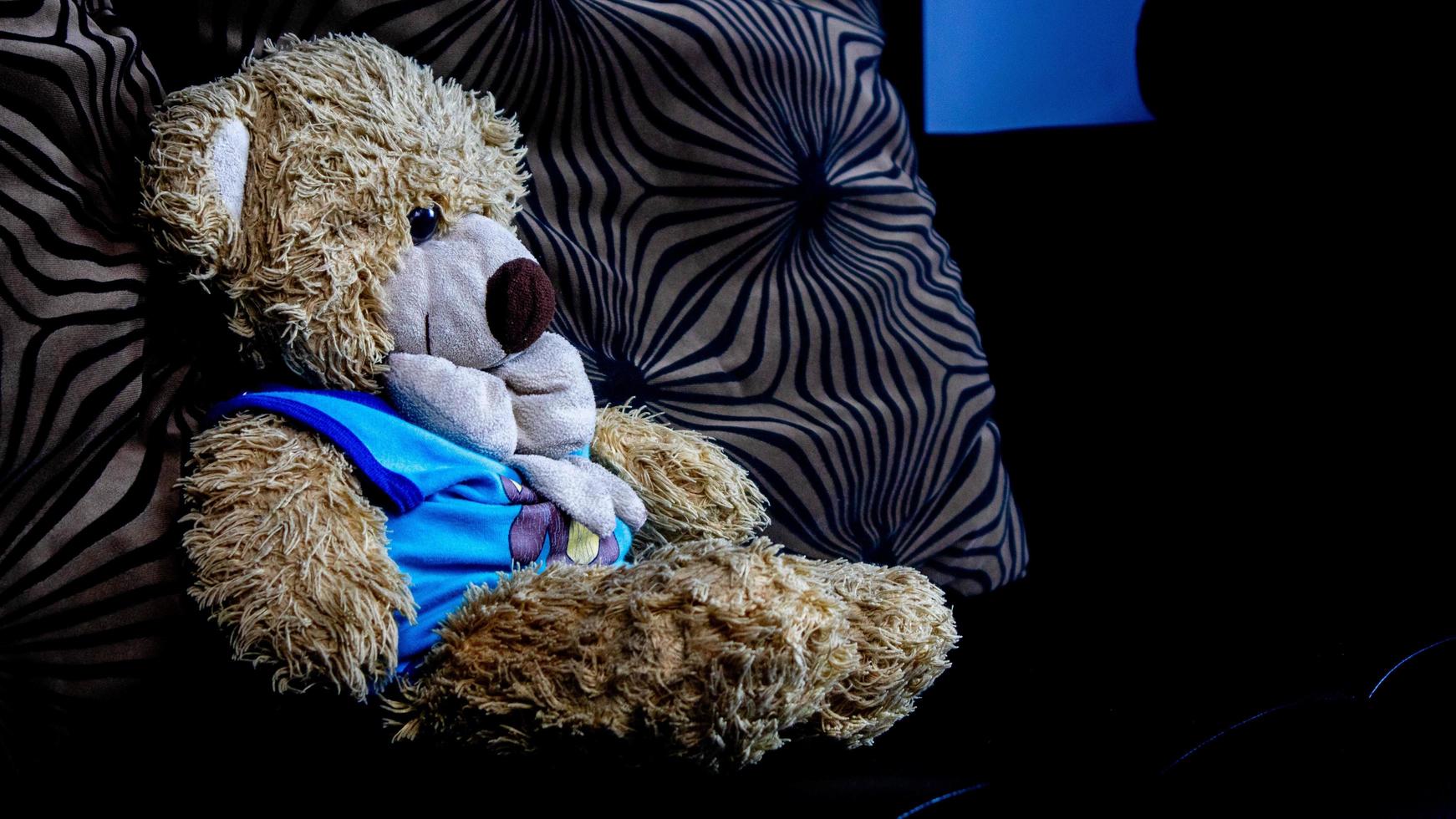 teddy bear in a blue t-shirt on a black sofa photo