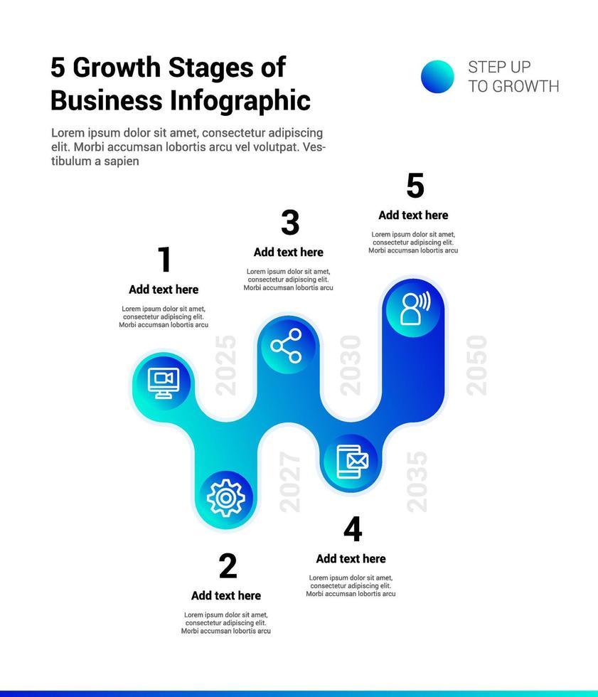 5 Growth Stages of Business Infographic vector