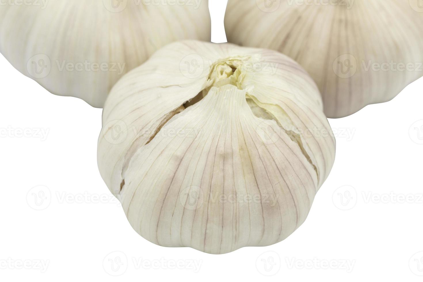 garlic isolated on white background with clipping path inside photo