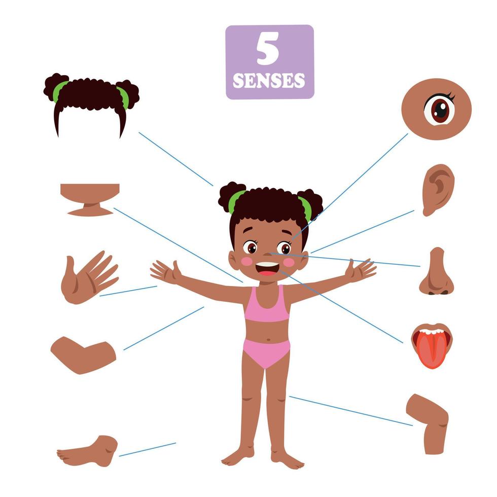 Five Senses Concept With Human Organs vector