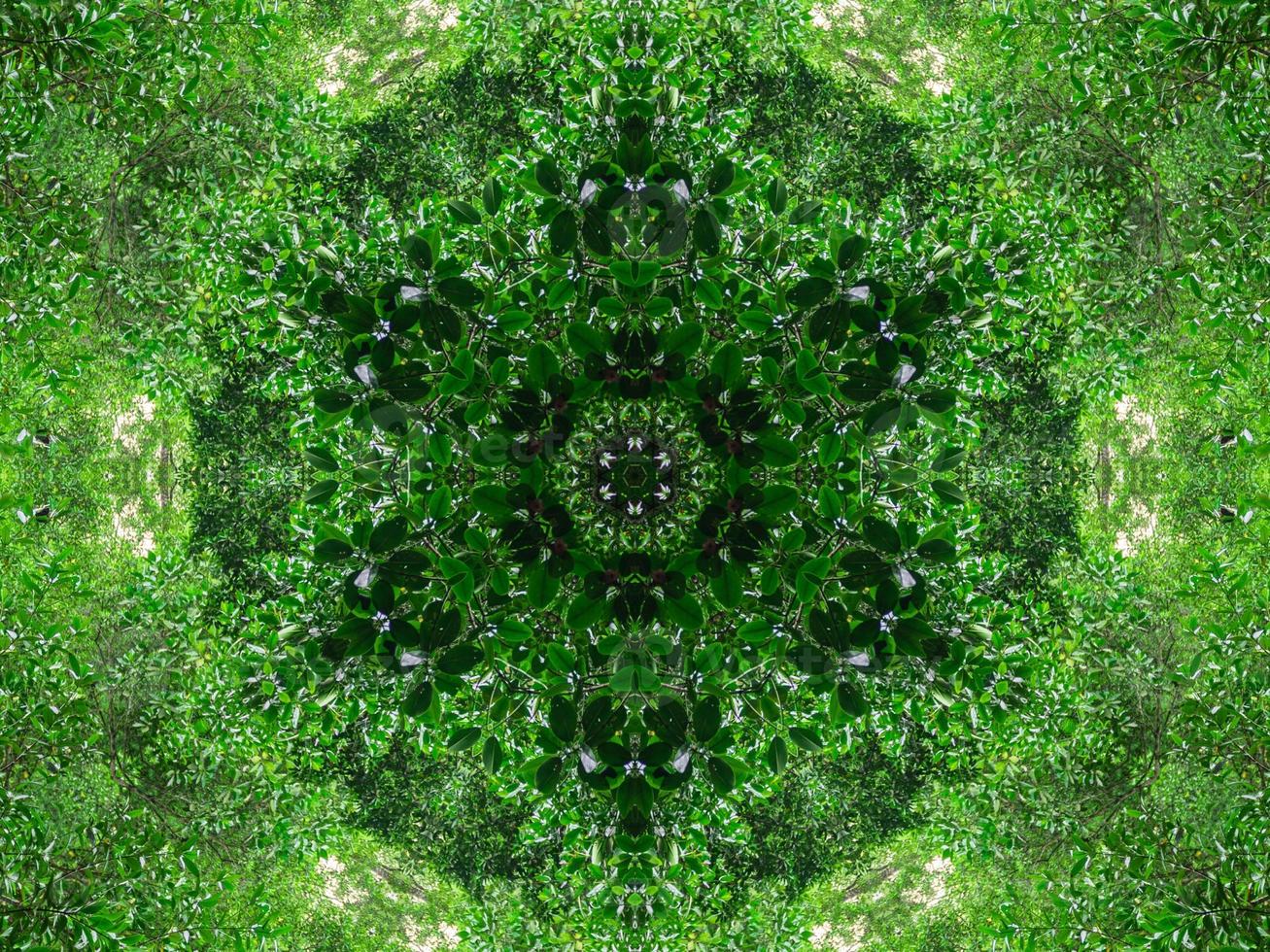 Abstract kaleidoscope background. Beautiful multicolor kaleidoscope texture. Unique kaleidoscope design. with dark green and light green base colors photo