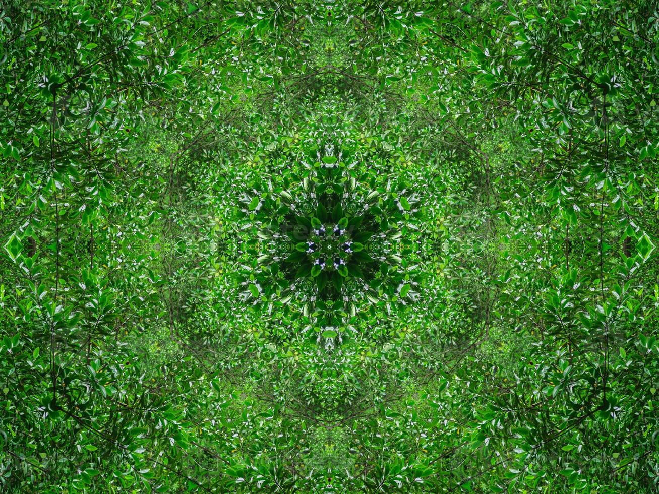 Abstract kaleidoscope background. Beautiful multicolor kaleidoscope texture. Unique kaleidoscope design. with dark green and light green base colors photo