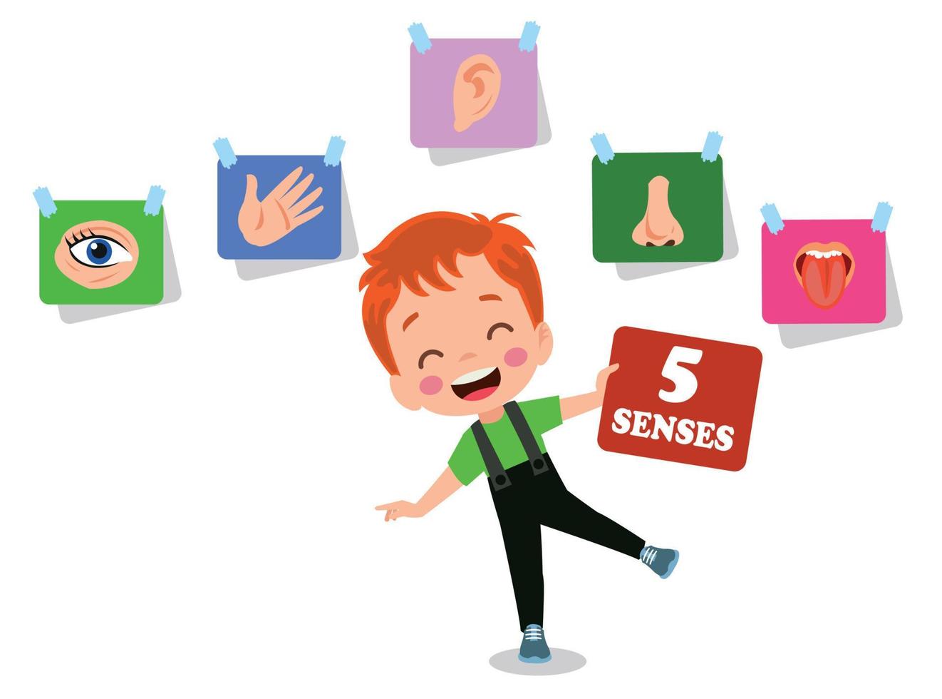 Five Senses Concept With Human Organs vector