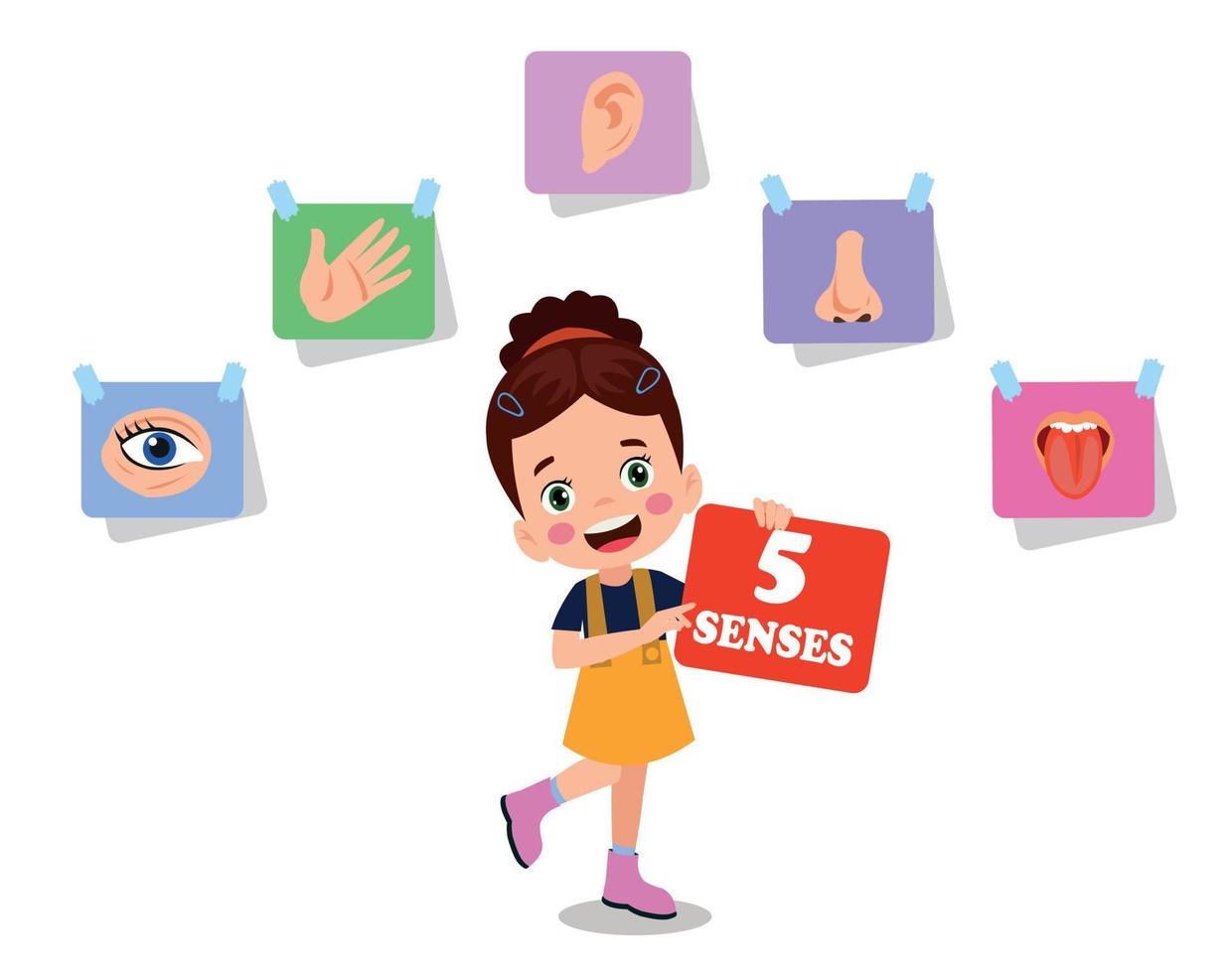 Five Senses Concept With Human Organs vector