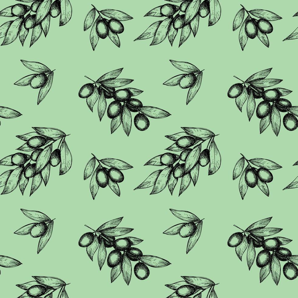 Vector seamless pattern. Hand drawn olive branches.