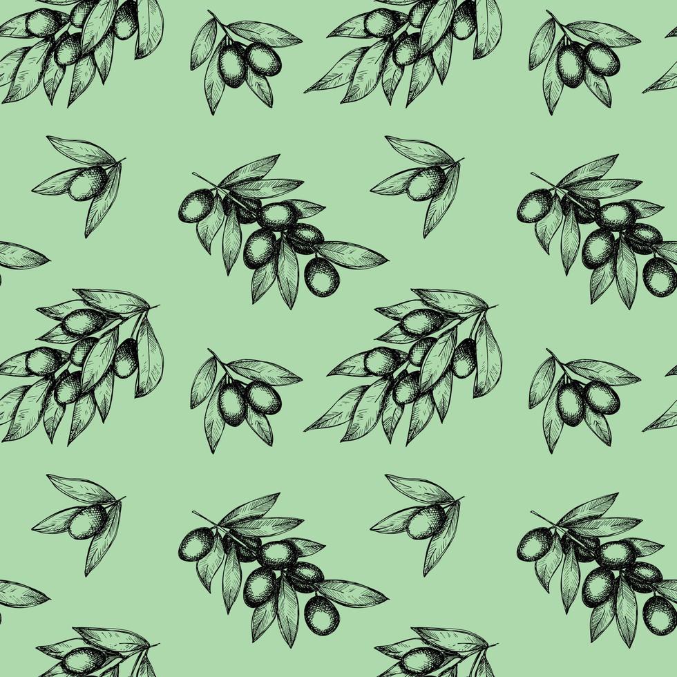 Vector seamless pattern. Hand drawn olive branches.