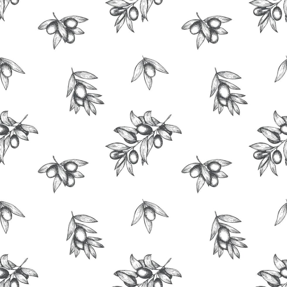 Vector seamless pattern. Hand drawn olive branches.