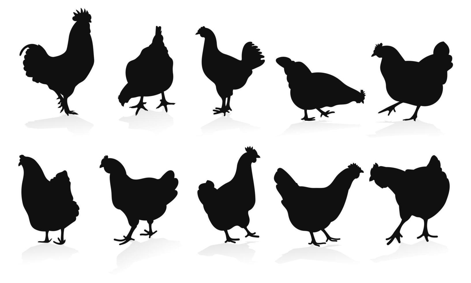 poner gallo, gallo, gallo, pollo, gallina, pollito, posición de pie, siluetas de aves de corral dibujadas a mano, vector aislado