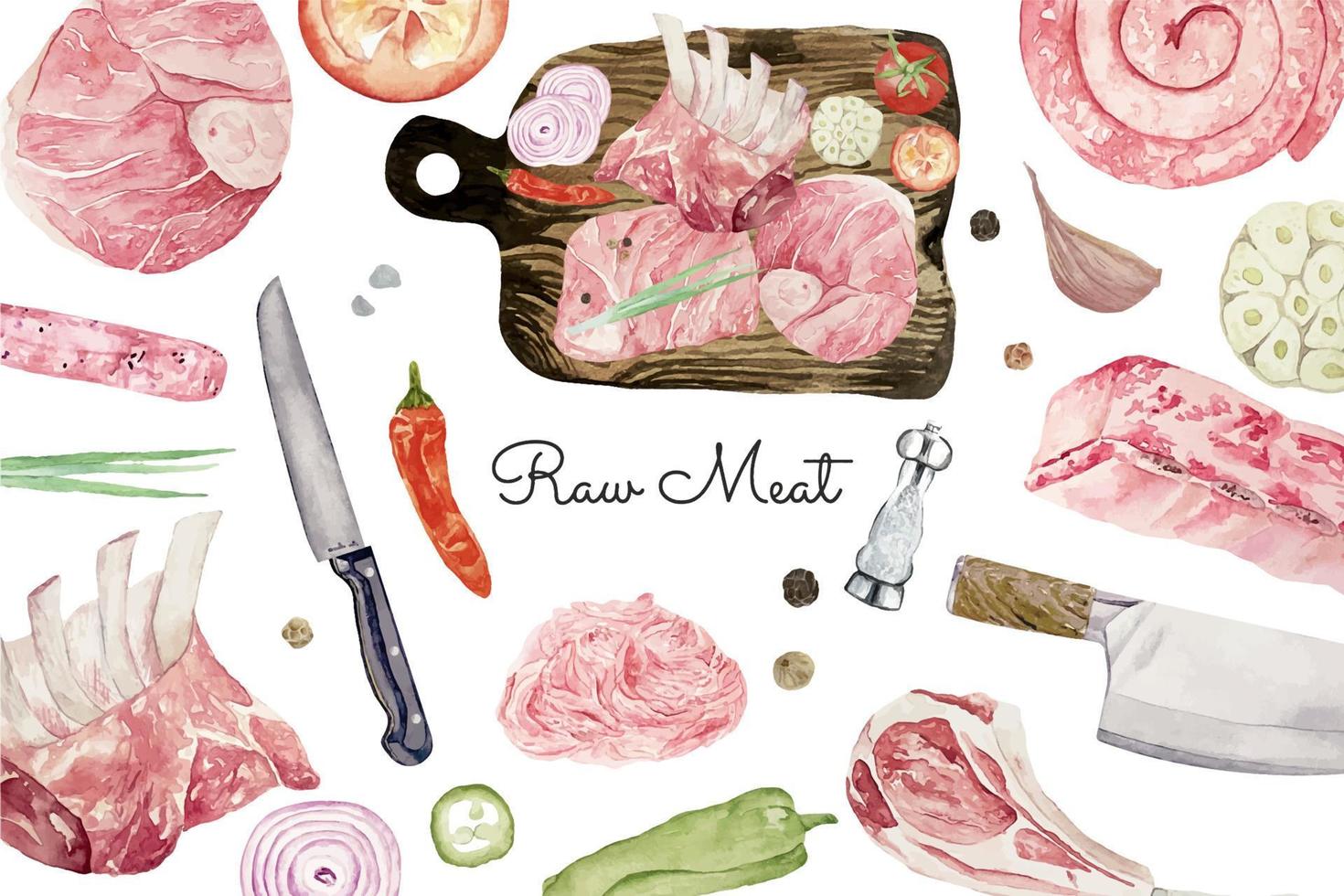Watercolor composition with a various raw meat, beef steaks lamb, veal, spareribs, forcemeat, sausages with fresh tomatos, onions and garlic. vector
