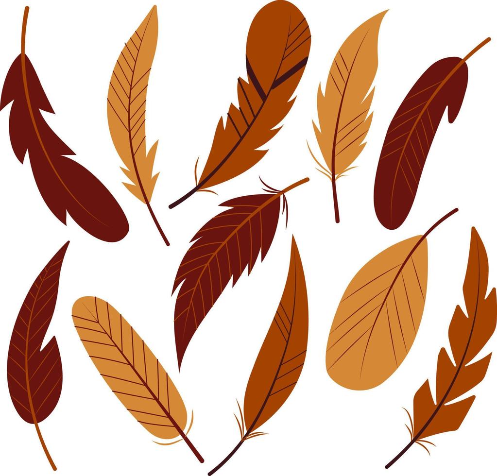 Vector set of brown bird feathers