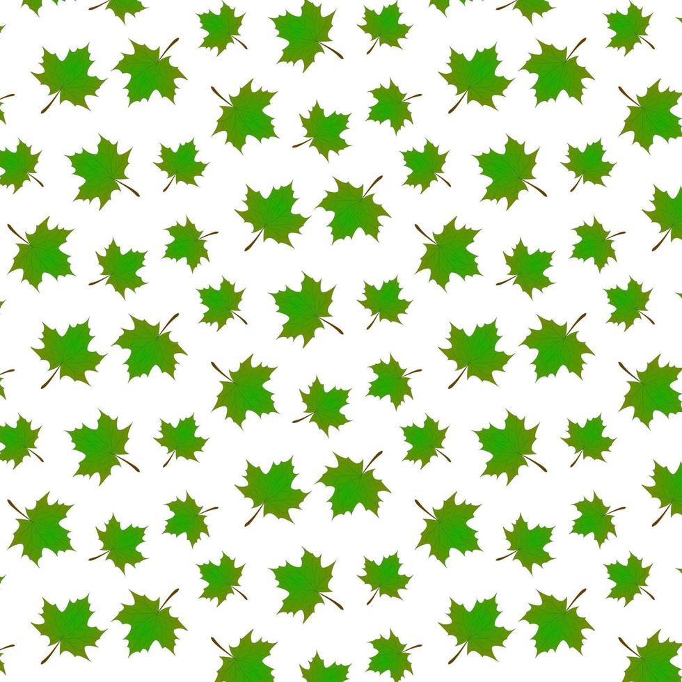 Green maple leaves vector background.Autumn seamless pattern. Background for site, presentation, project, business.Vector illustration