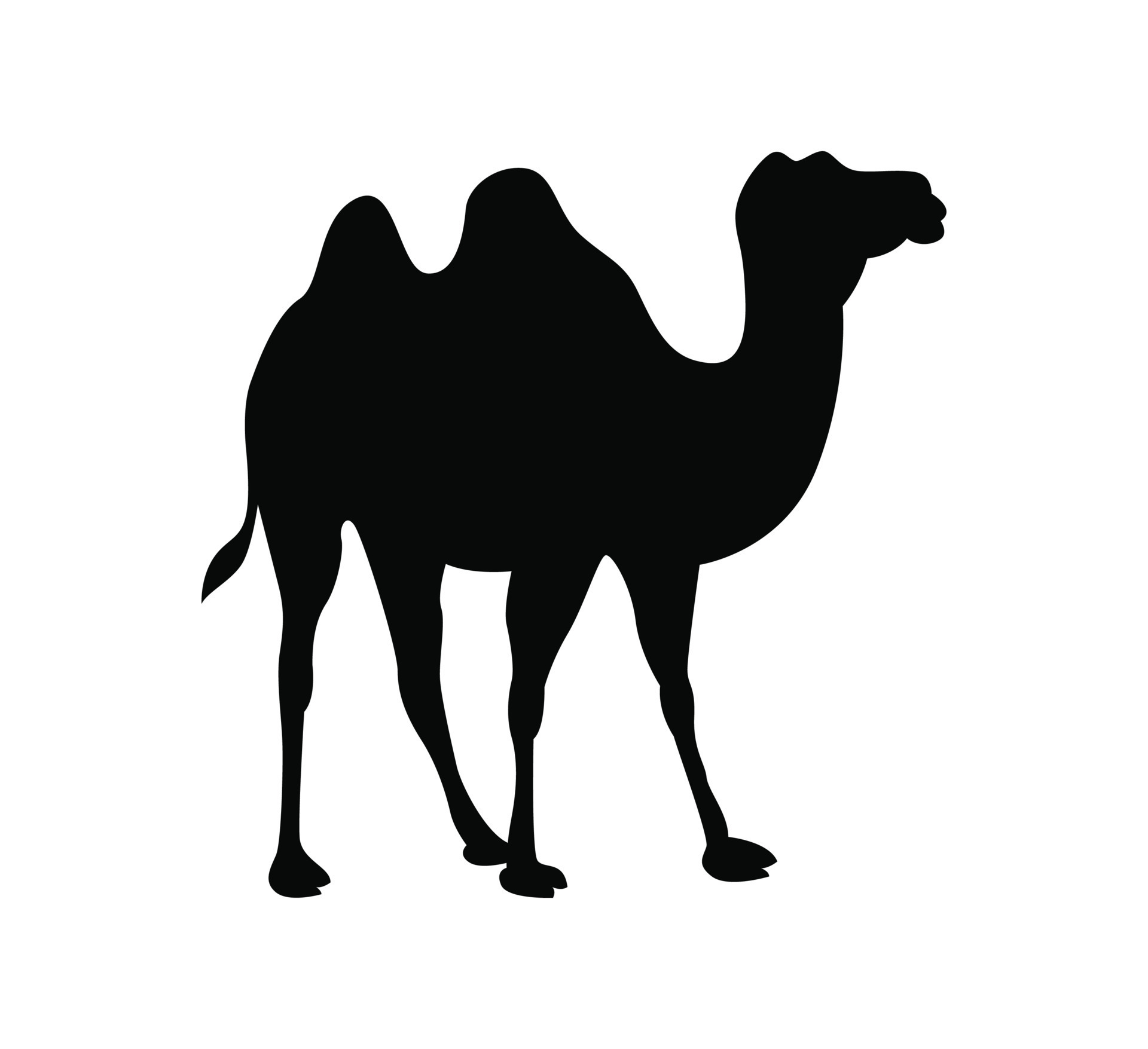 Vector illustration of camel silhouette icon. standing camel creative ...