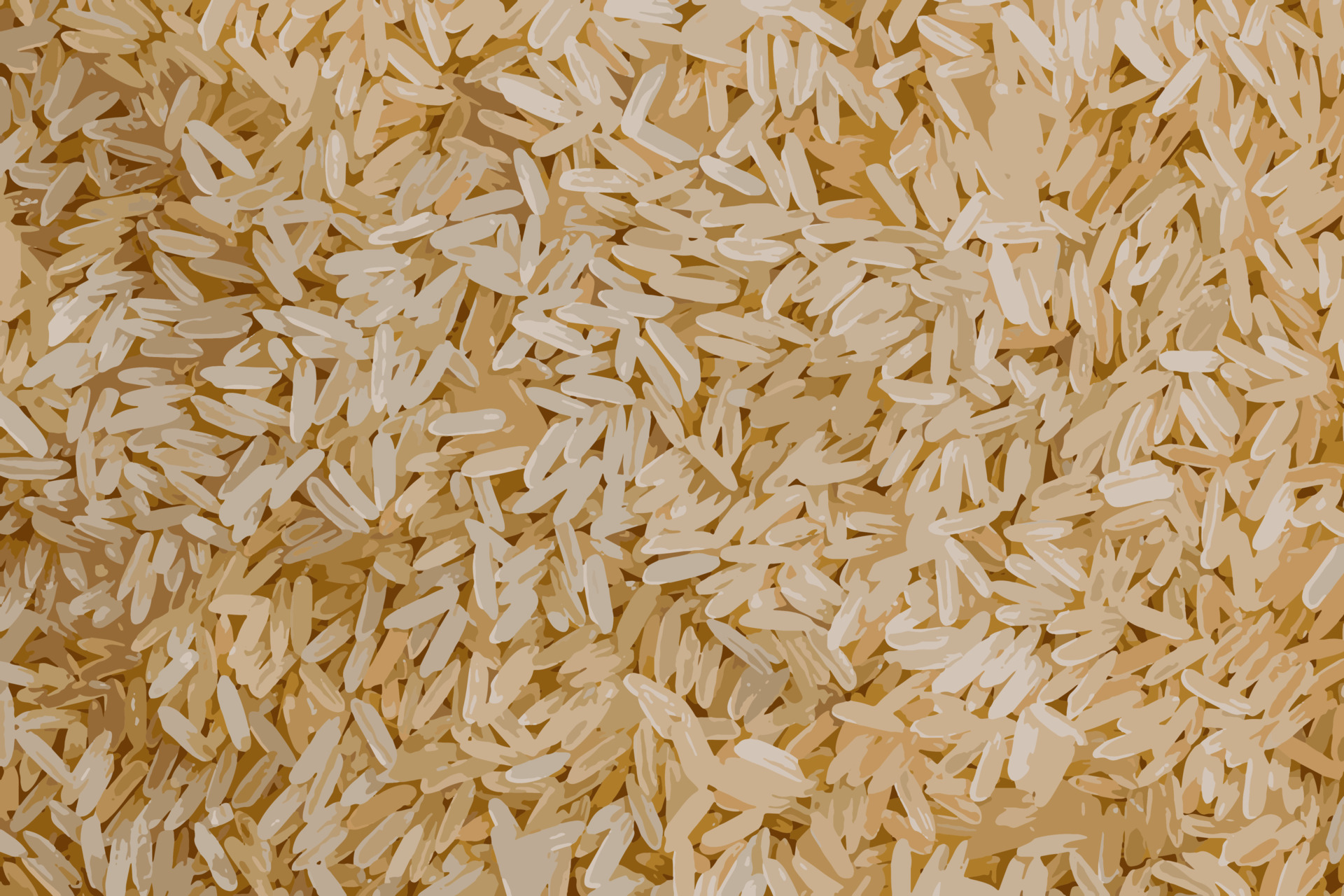 Uncooked Rice